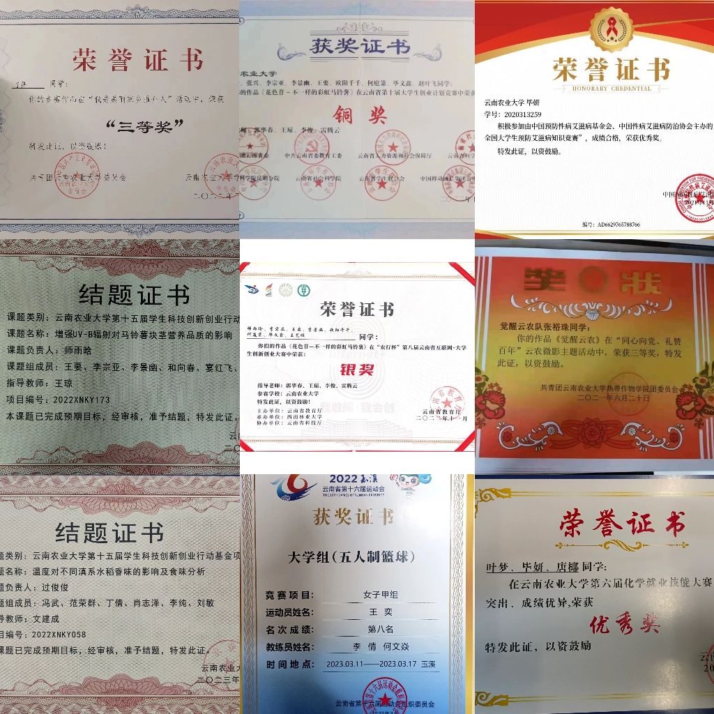老虎机娱乐城