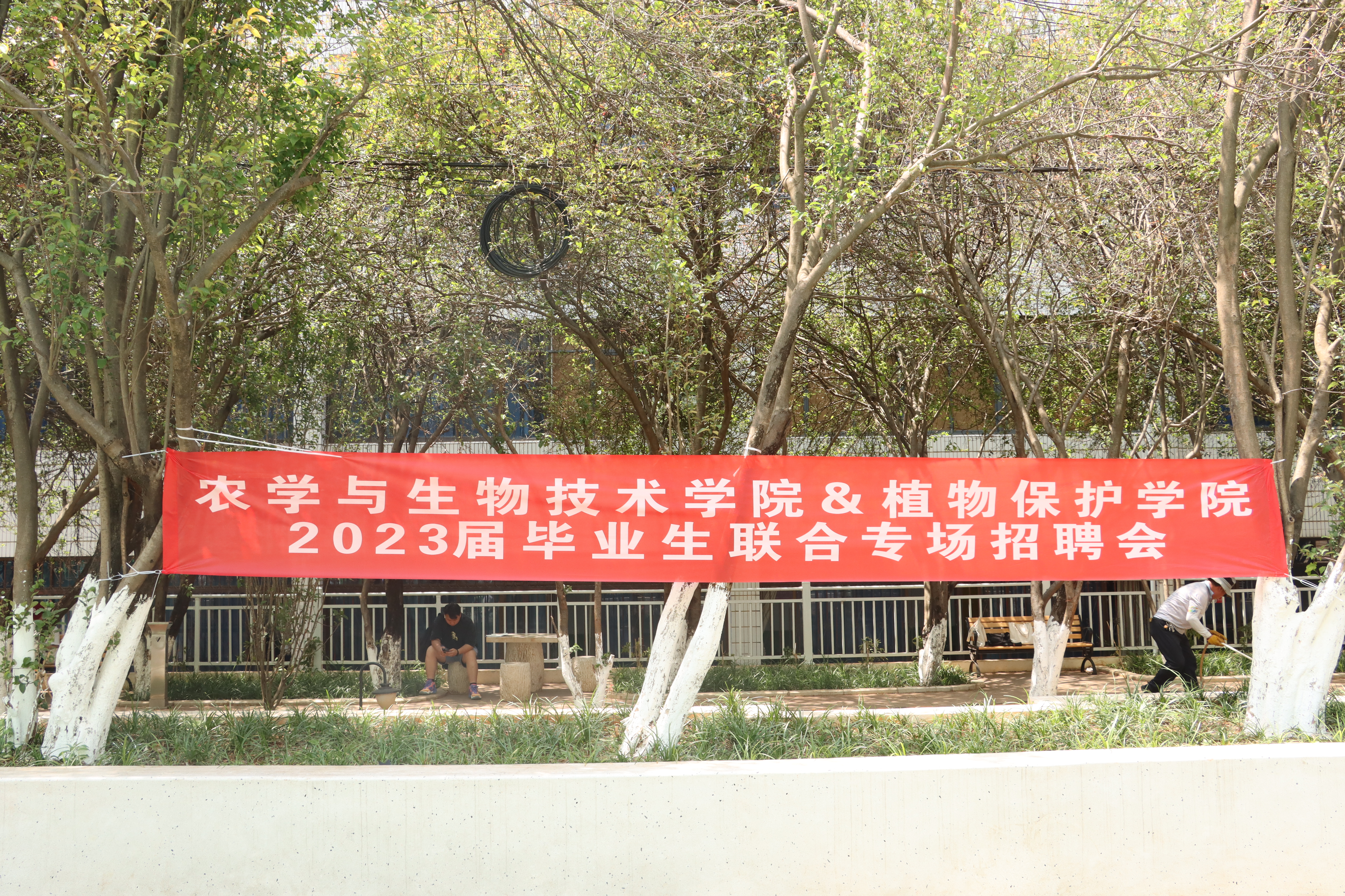 老虎机娱乐城