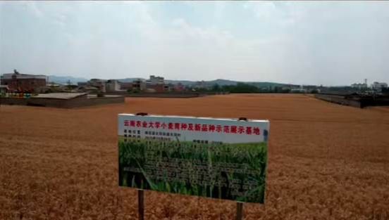 c1962054e285f4ef8995d8f81339bbd8