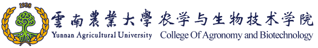 老虎机娱乐城